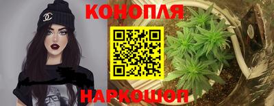 стафф Аргун