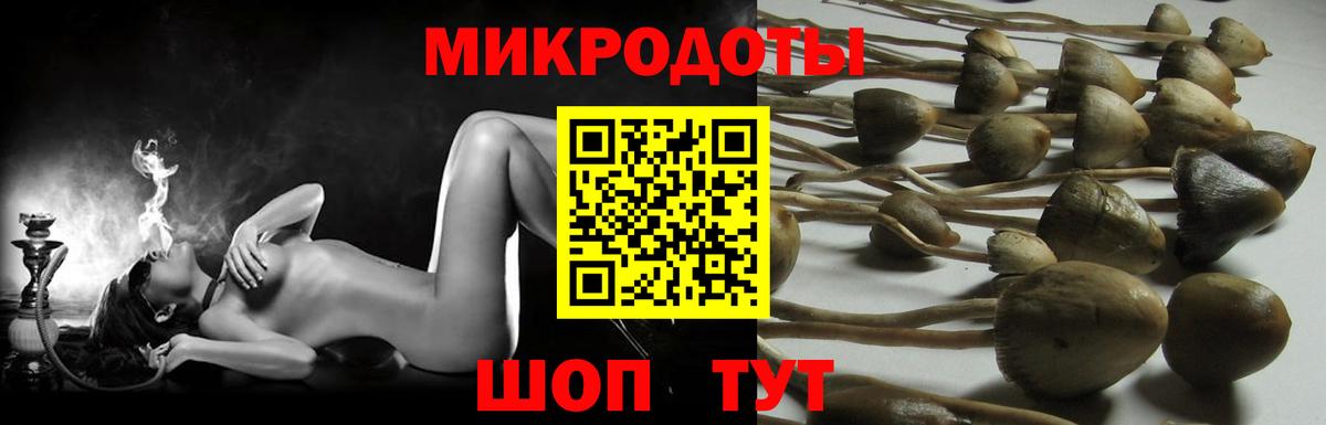 цены   Галлюциногенные грибы Psilocybine cubensis  Вход с VPN  Великие Луки 